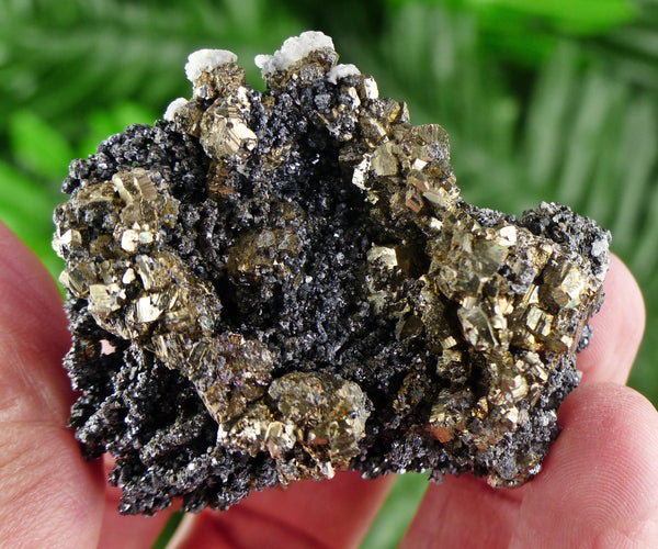 Sphalerite with Pyrite, Raw Crystal, Natural Mineral, Spirituality Crystal, Mineral Specimen B1362