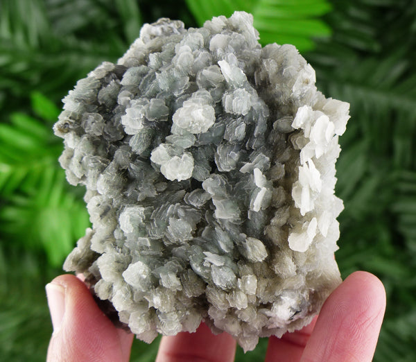 Amazing Calcite with Chlorite, Raw Crystal, Natural Mineral, Spirituality Crystal, Mineral Specimen