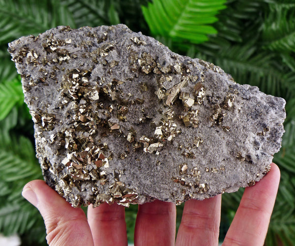 Quartz with Pyrite, Quartz Crystal, Pyrite Cube, Raw Crystal, Natural Mineral, Crystal Cluster, Healing Crystal, Mineral Specimen B1270