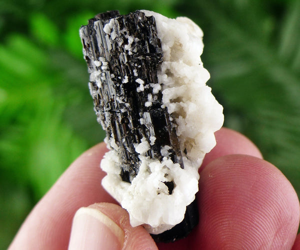 Black Tourmaline with Feldspar, Tourmaline Crystal, Natural Crystal, Natural Tourmaline, Mineral, Black Tourmaline B1277