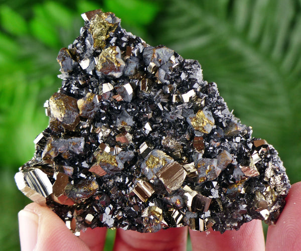 Sphalerite with Pyrite, Raw Crystal, Natural Mineral, Spirituality Crystal, Mineral Specimen B1289