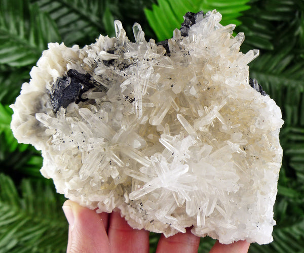 Quartz with Black Sphalerite Tetrahedron, Raw Crystal, Natural Mineral, Crystal Cluster, Quartz Crystal, Sphalerite Tetrahedron  B1639