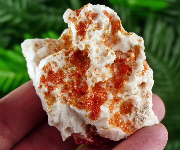 Red Vanadinite with Baryte, Red Crystal, Raw Crystal, Natural Mineral, Red Vanadinite from Morocco B1642