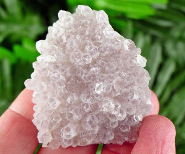 Quartz with Amethyst Crystal, Bulgarian Amethyst, Raw Crystal, Natural Mineral, Amethyst Crystal, Amethyst Cluster B1998