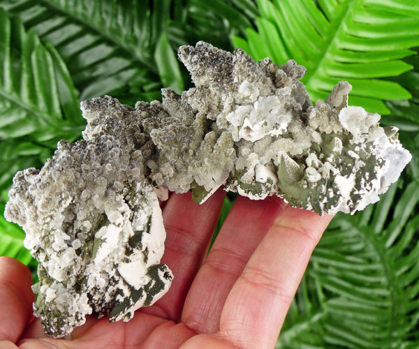 Rare Two Generation Calcite with Chlorite, Crystal, Mineral, Natural Crystal, Raw Crystal, MIneral Specimen B2008