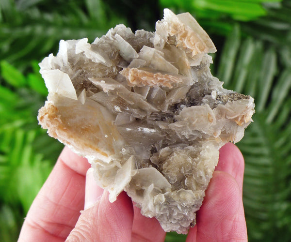 Rare Calcite with Chlorite, Raw Crystal, Natural Mineral, Spirituality Crystal, Mineral Specimen B1971