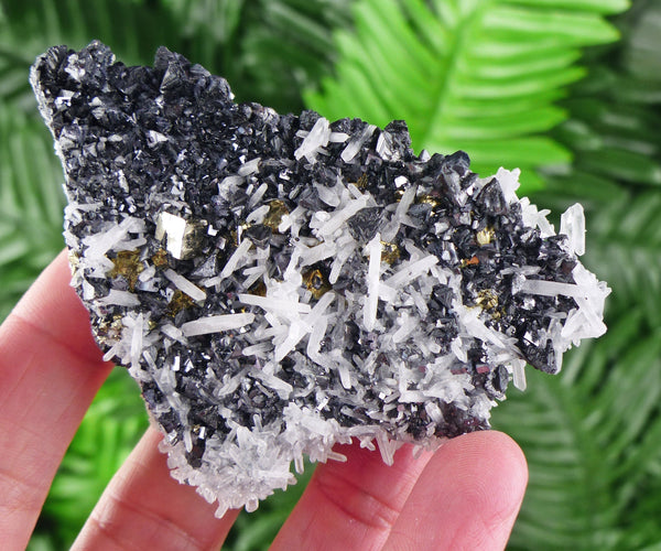 Black Sphalerite Crystals with Pyrite and Milky Quartz, Raw Crystal, Natural Mineral, Spirituality Crystal, Mineral Specimen B1628