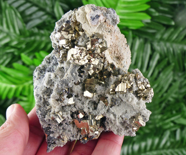 Amazing Quartz with Pyrite Crystals, Raw Crystal, Natural Mineral, Spirituality Crystal, Mineral Specimen B1633