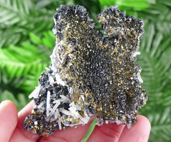 Amazing Sphalerite with Chalcopyrite and Quartz, Raw Crystal, Natural Mineral, Spirituality Crystal, Mineral Specimen B1760