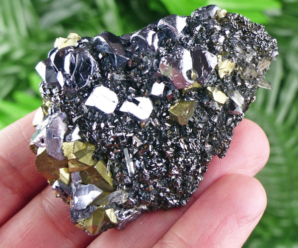 Rare Black Sphalerite with Quartz, Shiny Galena and Golden Yellow Chalcopyrite, Raw Crystal, Natural Mineral, Mineral Specimen B1763