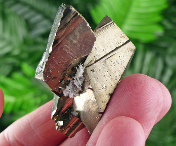 Pyrite Crystal, Pyrite Cubes, Shiny Pyrite, Pyrite Crystal, Pyrite Mineral, Fool's Gold Cluster, Natural Crystal, Mineral Stone B1764