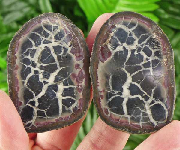 Dragonstones Pair, Septarian Nodule Geode, Septaria, Dragonstone, Aragonite, Septarian Nodules, Dragon Stone Healing Stone, Limestone B2032