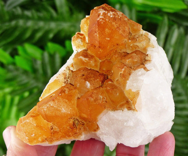 Quartz with Iron Oxide, Quartz Crystal, Natural Mineral, Natural Crystal, Raw Crystals, Crystal Cluster, Quartz Cluster B2088