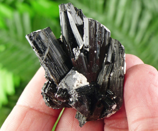 Black Tourmaline with Feldspar, Tourmaline Crystal, Natural Crystal, Natural Tourmaline, Mineral, Black Tourmaline B1370