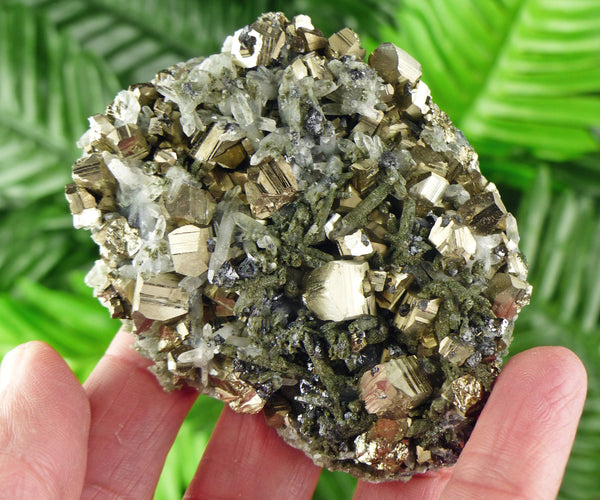 Rare Pyrite Crystals with Chlorite and Quartz, Raw Crystal, Natural Mineral, Spirituality Crystal, Mineral Specimen B1381