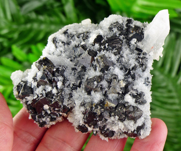 Quartz with Sphalerite, Raw Crystal, Natural Mineral, Spirituality Crystal, Mineral Specimen B1321