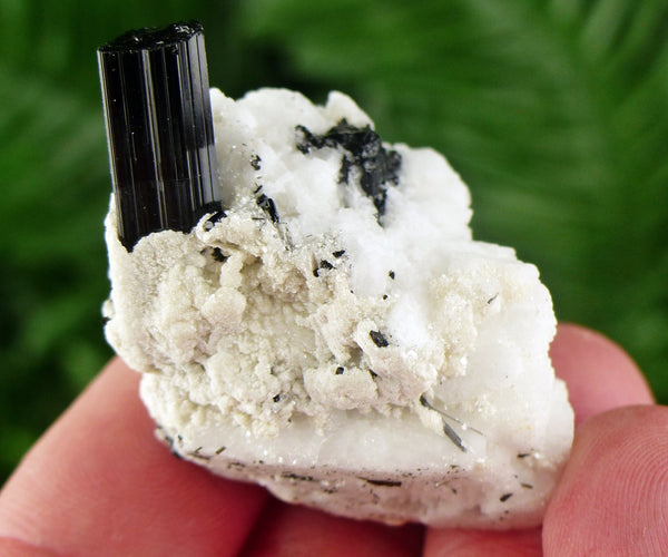 Black Tourmaline with Feldspar, Tourmaline Crystal, Natural Crystal, Natural Tourmaline, Mineral, Black Tourmaline B1325