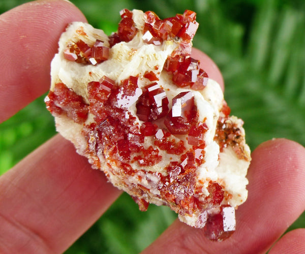 Red Vanadinite with Baryte, Red Crystal, Raw Crystal, Natural Mineral, Red Vanadinite from Morocco B1862