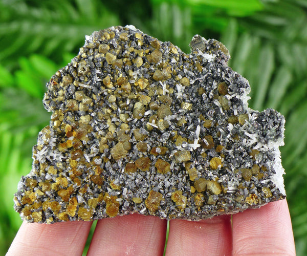 Quartz with Chalcopyrite and Sphalerite, Raw Crystal, Natural Mineral, Spirituality Crystal, Mineral Specimen B1833