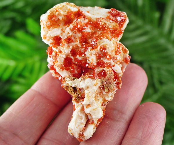 Red Vanadinite with Baryte, Red Crystal, Raw Crystal, Natural Mineral, Red Vanadinite from Morocco B1838