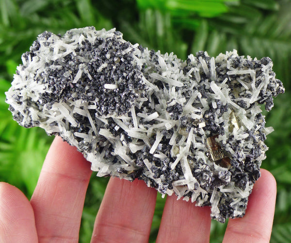 Amazing Quartz with Sphalerite and Pyrite, Raw Crystal, Natural Mineral, Spirituality Crystal, Mineral Specimen B1842