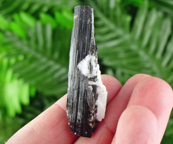 Black Tourmaline with Feldspar, Tourmaline Crystal, Natural Crystal, Natural Tourmaline, Mineral, Black Tourmaline B1963