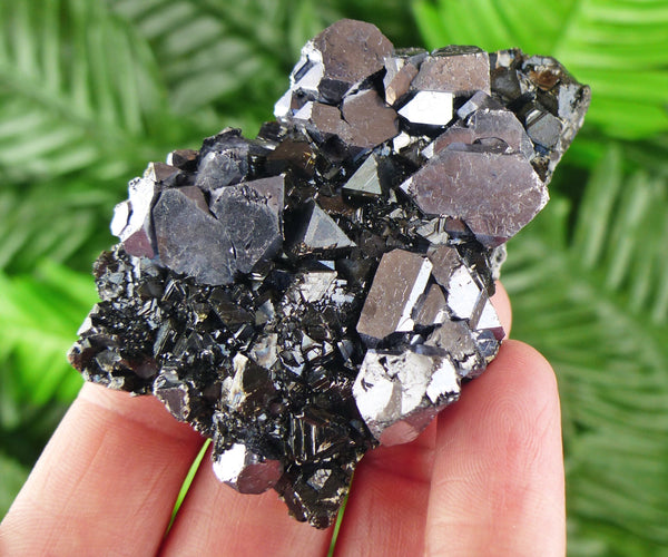 Galena with Sphalerite, Galena, Sphalerite, Raw Crystal, Natural Mineral, Natural Crystal, Crystal Cluster B1896