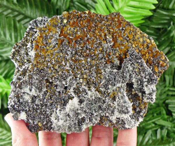 Rare Big Chalcopyrite with Quartz and Sphalerite, Raw Crystal, Natural Mineral, Spirituality Crystal, Mineral Specimen B1897