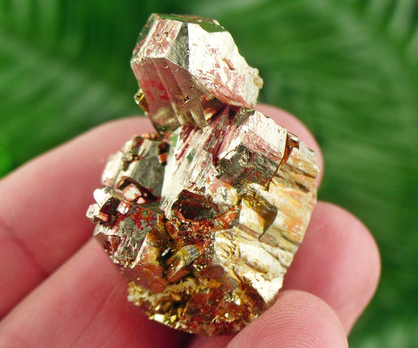 Pyrite with Hematite, Pyrite Cubes, Shiny Pyrite, Pyrite Crystal, Pyrite Mineral, Fool's Gold Cluster, Natural Crystal, Mineral Stone B1974