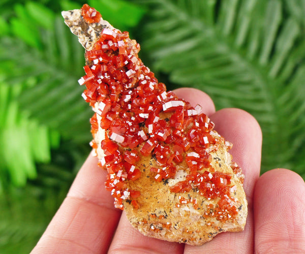 Red Vanadinite, Vanadinite Crystal, Vanadinite, Raw Crystal, Natural Mineral, Crystal Cluster, Healing Crystal, Mineral Specimen B1977