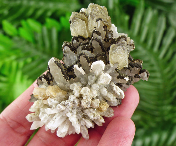 Quartz with Chlorite and Calcite, Quartz Crystal, Chlorite Crystal, Calcite Stone, White Calcite B1979