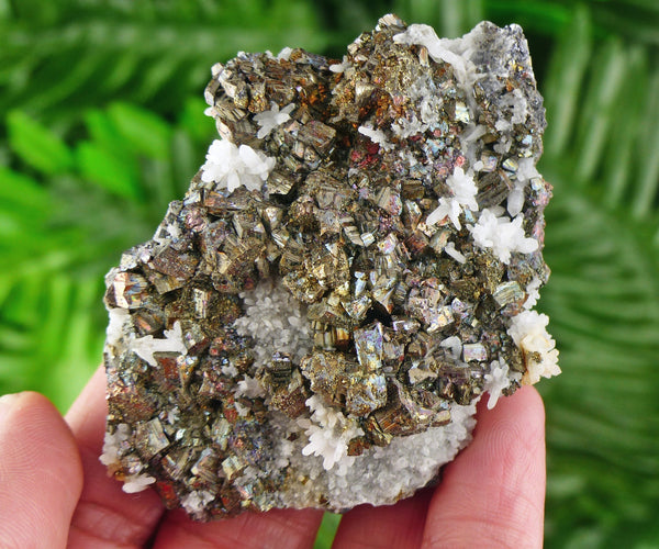 Rare Iridescent Pyrite with Quartz, Raw Crystal, Natural Mineral, Crystal Cluster, Healing Crystal, Mineral Specimen B1988