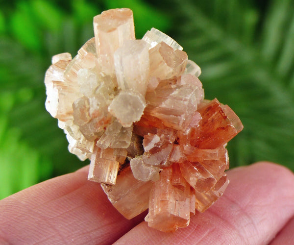 Amazing Aragonite from Morocco, Aragonite Sputnik, Raw Crystal, Natural Mineral, Spirituality Crystal, Mineral Specimen B1408