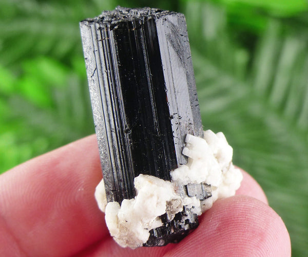 Black Tourmaline with Feldspar, Tourmaline Crystal, Natural Crystal, Natural Tourmaline, Mineral, Black Tourmaline B1487