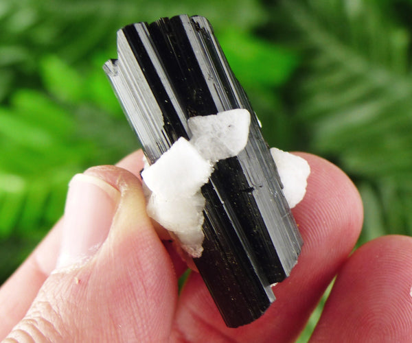 Black Tourmaline with Feldspar, Tourmaline Crystal, Natural Crystal, Natural Tourmaline, Mineral, Black Tourmaline B2046