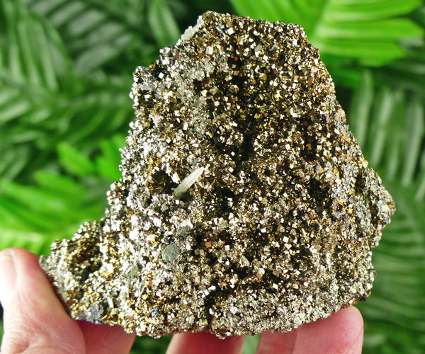 Pyrite with Quartz Crystal, Raw Minerals, Natural Crystals, Pyrite Cubes, Fool's Gold, Crystal Cluster B1371