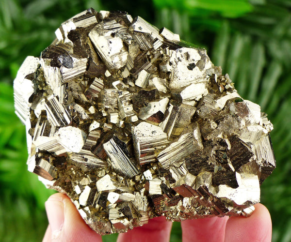 Pyrite with Quartz and Chlorite, Raw Crystal, Natural Mineral, Spirituality Crystal, Mineral Specimen B1503