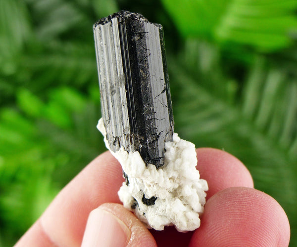 Black Tourmaline with Feldspar, Tourmaline Crystal, Natural Crystal, Natural Tourmaline, Mineral, Black Tourmaline B2147