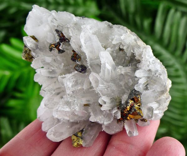 Amazing Clear Quartz with Iridescent Chalcopyrite, Natural Crystal, Raw Mineral, Spiritual Healing Crystal B1828