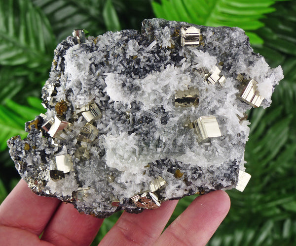 Quartz with Pyrite, Quartz Crystal, Pyrite Cube, Raw Crystal, Natural Mineral, Crystal Cluster, Healing Crystal, Mineral Specimen B1875