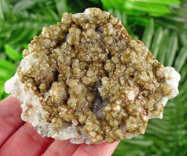 Quartz with Calcite, Quartz Crystal, Raw Crystal, Natural Mineral, Crystal Cluster, Healing Crystal, Calcite B1978