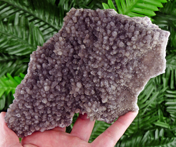 Rare Amethyst Crystal, Bulgarian Amethyst, Raw Crystal, Natural Mineral, Amethyst Crystal, Amethyst Cluster B1654