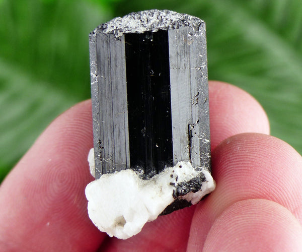 Black Tourmaline with Feldspar, Tourmaline Crystal, Natural Crystal, Natural Tourmaline, Mineral, Black Tourmaline B1655