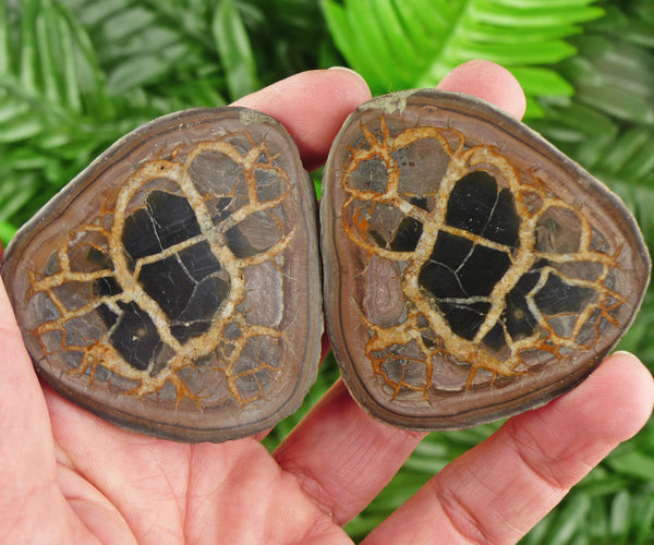 Dragonstones Pair, Septarian Nodule Geode, Septaria, Dragonstone, Aragonite, Septarian Nodules, Dragon Stone Healing Stone, Limestone B1410