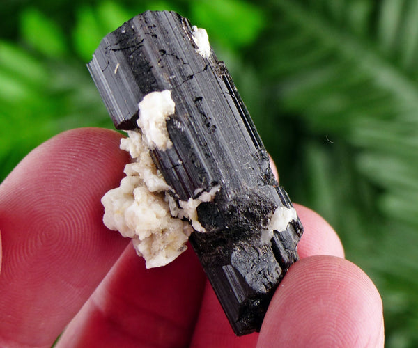 Black Tourmaline with Feldspar, Tourmaline Crystal, Natural Crystal, Natural Tourmaline, Mineral, Black Tourmaline B1773