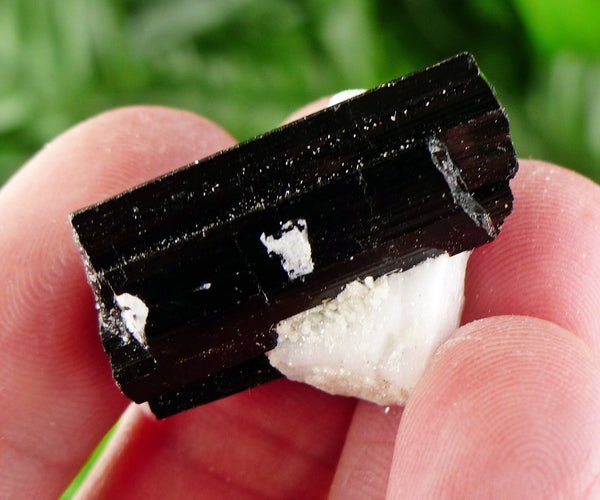 Black Tourmaline with Feldspar, Tourmaline Crystal, Natural Crystal, Natural Tourmaline, Mineral, Black Tourmaline B1852