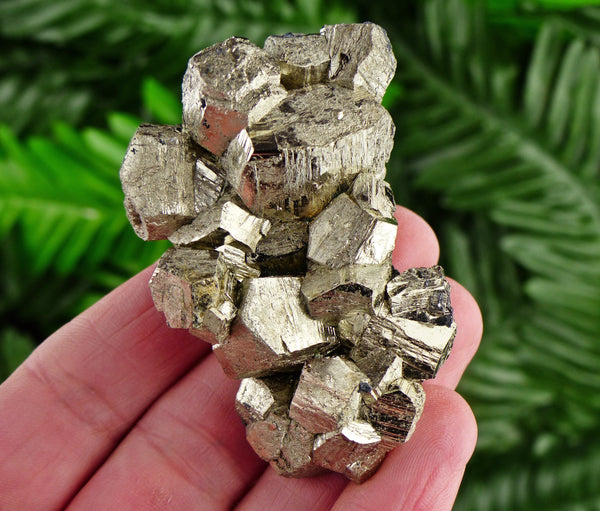 Pyrite Crystal, Pyrite Cubes, Shiny Pyrite, Pyrite Crystal, Natural Crystal, Mineral Specimen B2026