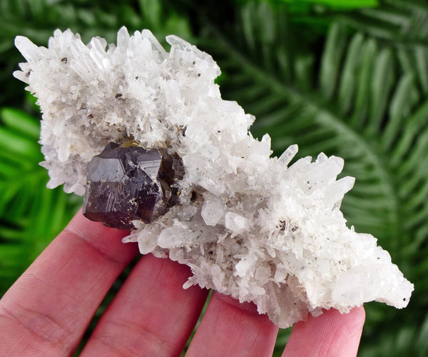 Rare Quartz with Gem Sphalerite var. Cleiophane, Raw Crystal, Natural Mineral, Healing Crystal, Spirituality Crystal, Mineral Specimen B1710