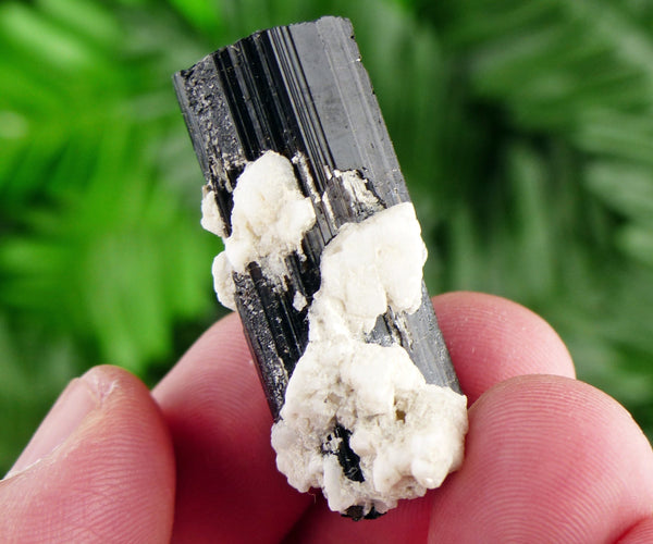 Black Tourmaline with Feldspar, Tourmaline Crystal, Natural Crystal, Natural Tourmaline, Mineral, Black Tourmaline B1714