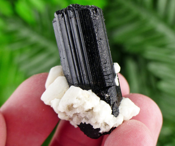 Black Tourmaline with Feldspar, Tourmaline Crystal, Natural Crystal, Natural Tourmaline, Mineral, Black Tourmaline B2056